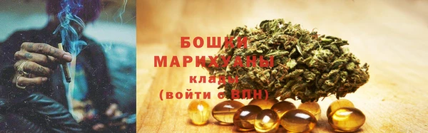 мдпв Иннополис