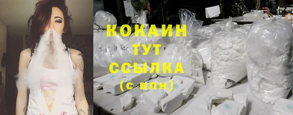 прущий лед Инта
