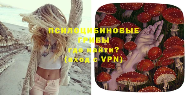 прущий лед Инта